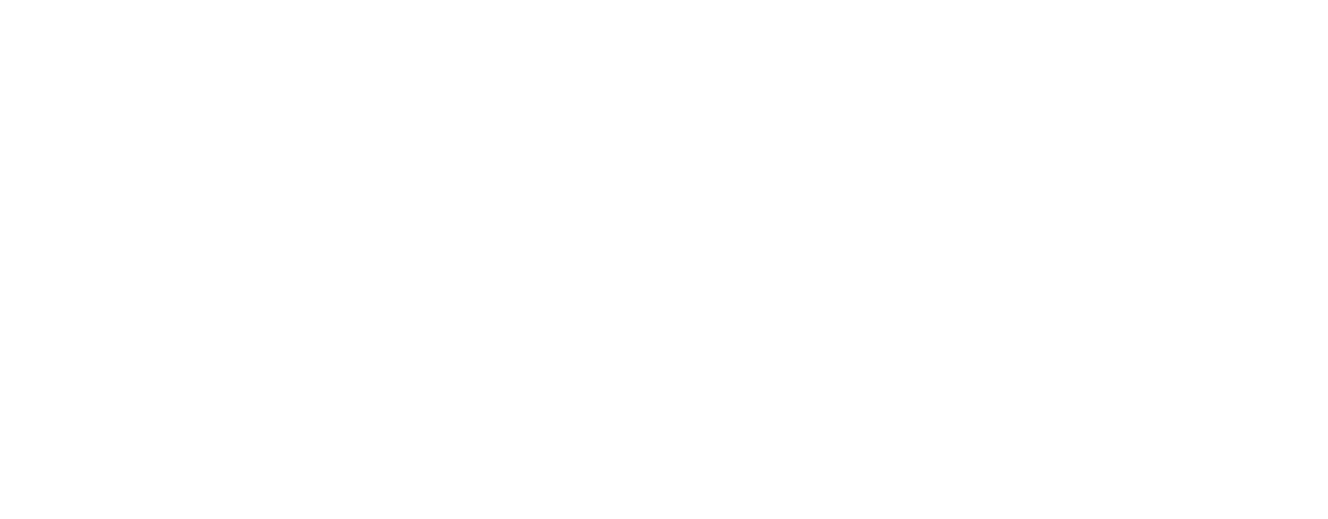 Endofast